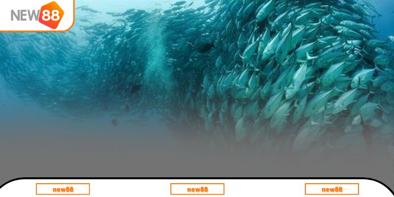 Ý nghĩa của chiêm bao cá đang bơi bị bắt 