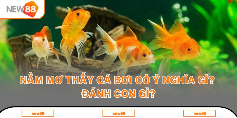 Nằm mơ thấy cá bơi